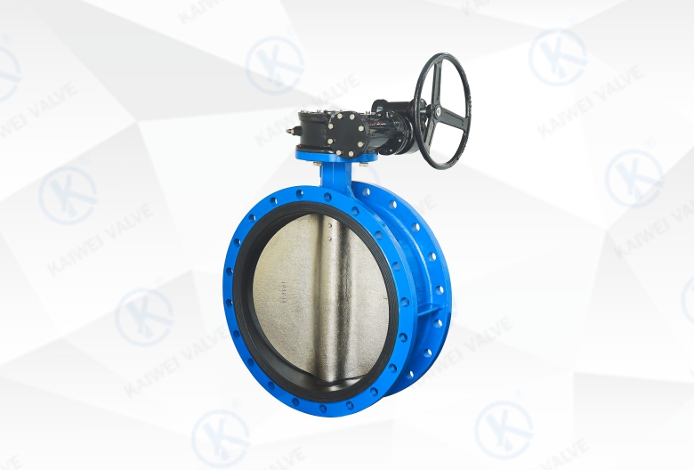 Concentric Butterfly Valve