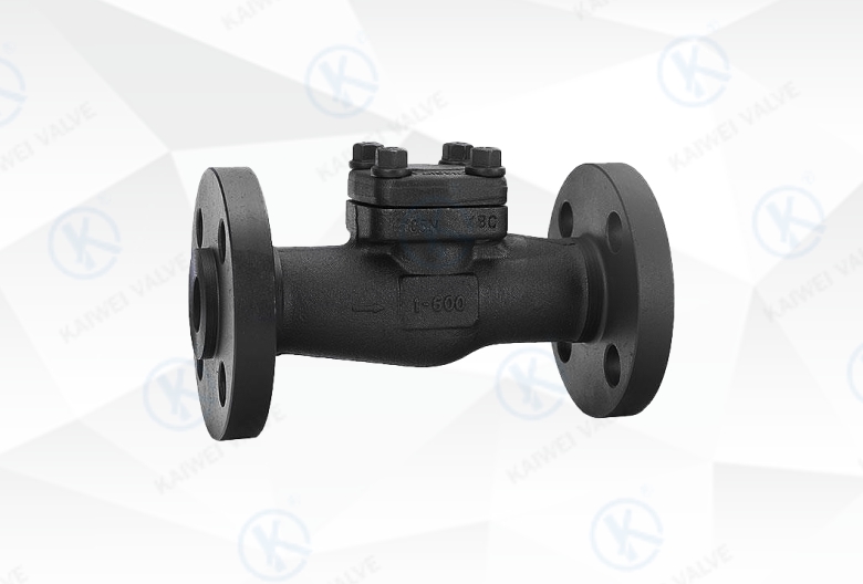 Small Forged Piston Check Valve